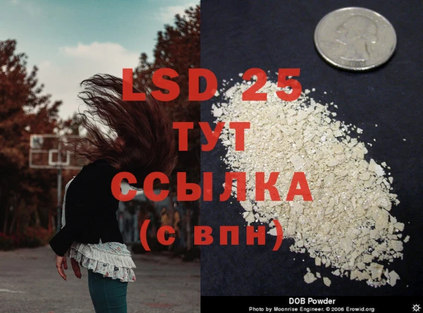 сатива Михайловка