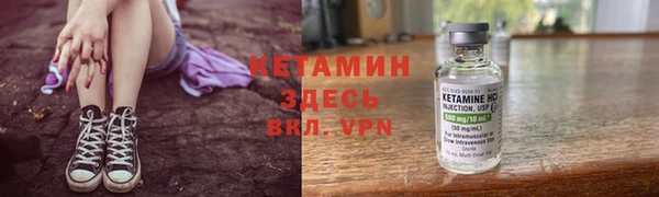 сатива Михайловка