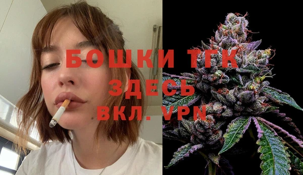 сатива Михайловка