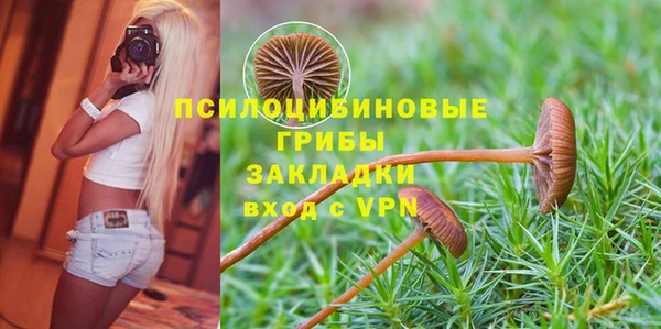 сатива Михайловка