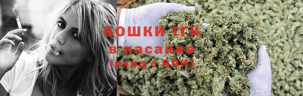 сатива Михайловка