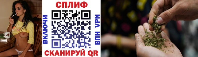 Конопля SATIVA & INDICA цены наркотик Ершов